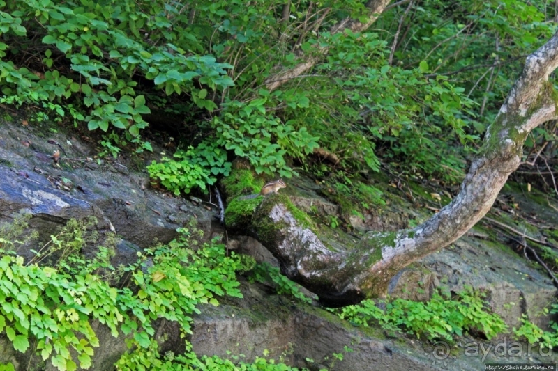 Альбом истории ""Эхо Кореи" — 75-метровый водопад Ullim Fall"