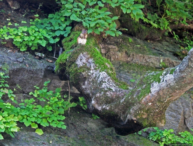 "Эхо Кореи" — 75-метровый водопад Ullim Fall