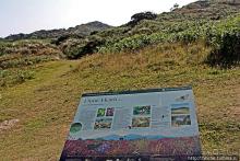 Песчаные дюны на побережье Северной Ирландии