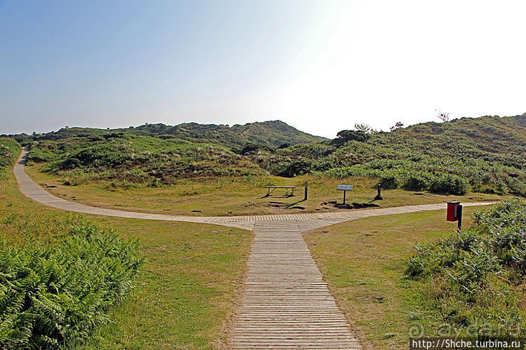 Песчаные дюны на побережье Северной Ирландии