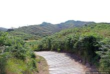 Песчаные дюны на побережье Северной Ирландии