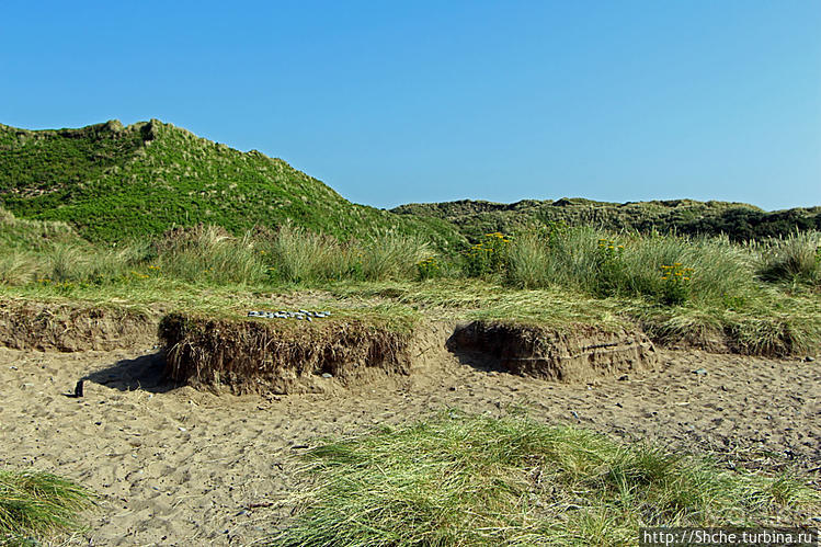 Песчаные дюны на побережье Северной Ирландии