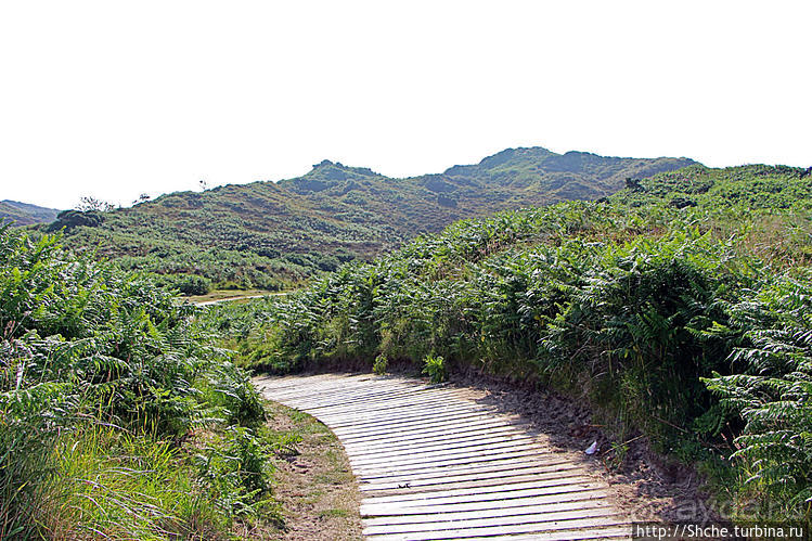 Песчаные дюны на побережье Северной Ирландии