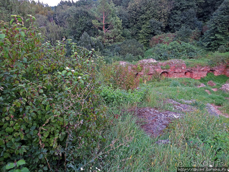 Если уж руины, то пускай они будут такие. Тарнувский замок