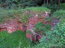 Если уж руины, то пускай они будут такие. Тарнувский замок