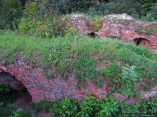 Если уж руины, то пускай они будут такие. Тарнувский замок