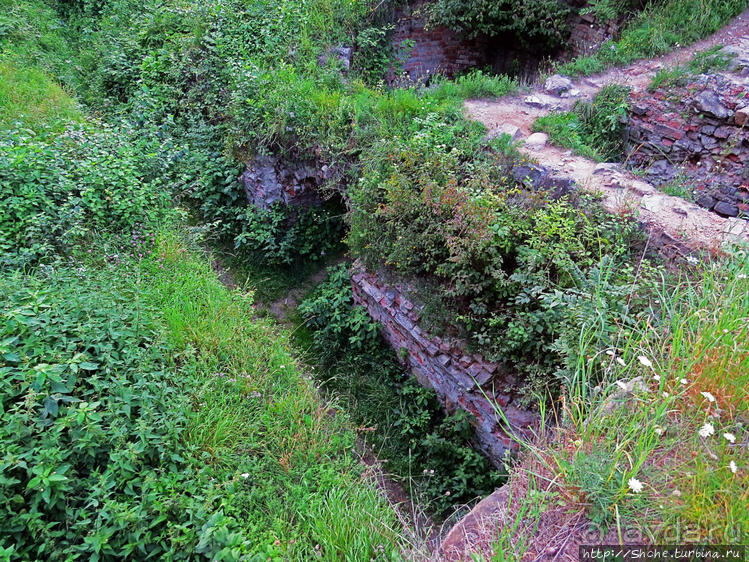 Если уж руины, то пускай они будут такие. Тарнувский замок