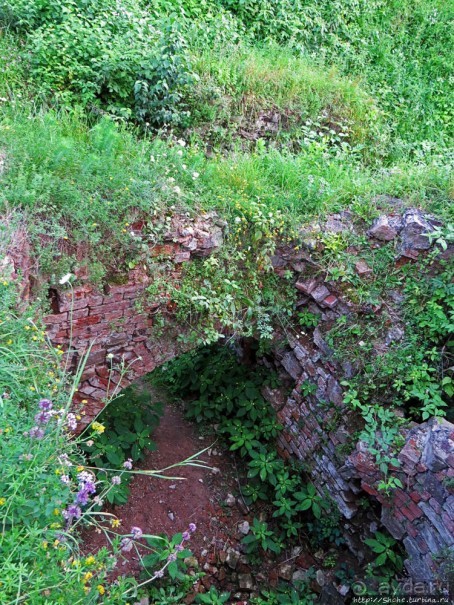 Если уж руины, то пускай они будут такие. Тарнувский замок