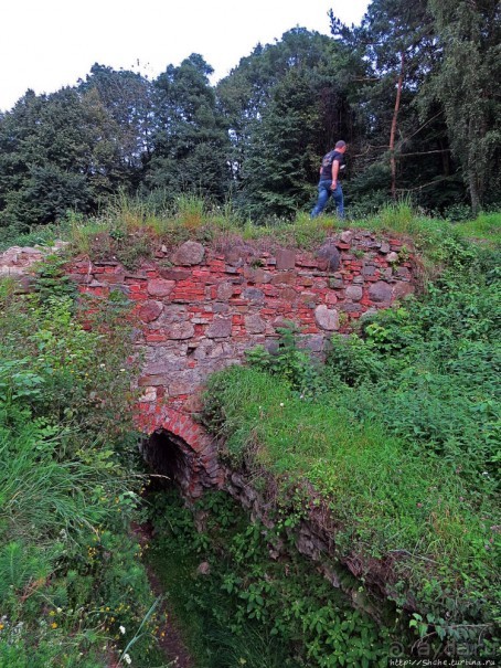 Если уж руины, то пускай они будут такие. Тарнувский замок