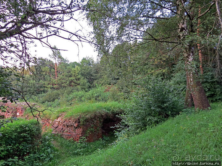 Если уж руины, то пускай они будут такие. Тарнувский замок