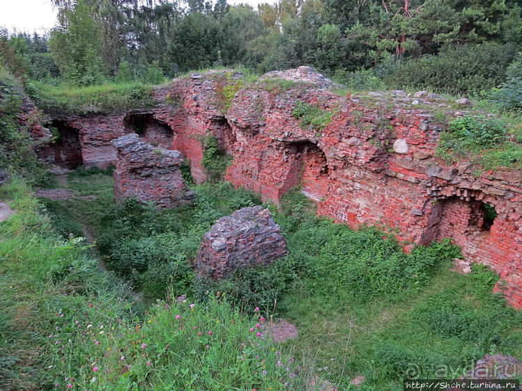 Если уж руины, то пускай они будут такие. Тарнувский замок