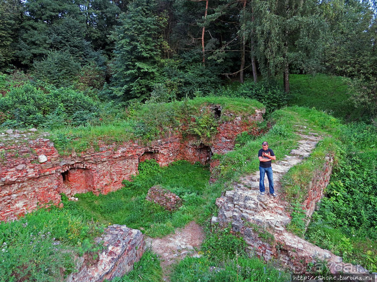 Если уж руины, то пускай они будут такие. Тарнувский замок