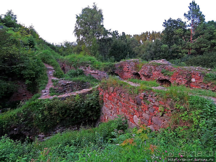 Если уж руины, то пускай они будут такие. Тарнувский замок