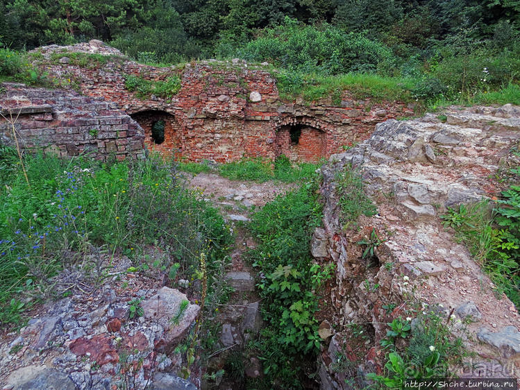 Если уж руины, то пускай они будут такие. Тарнувский замок