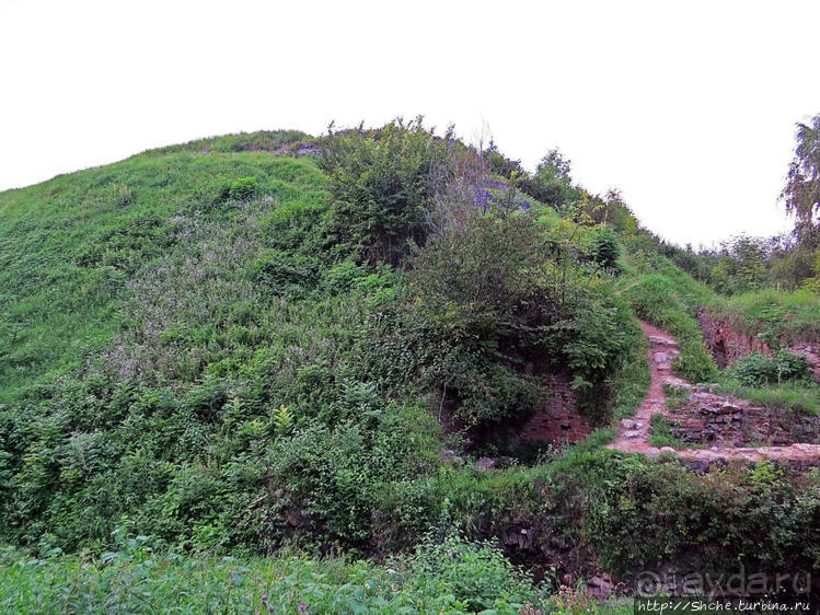 Если уж руины, то пускай они будут такие. Тарнувский замок