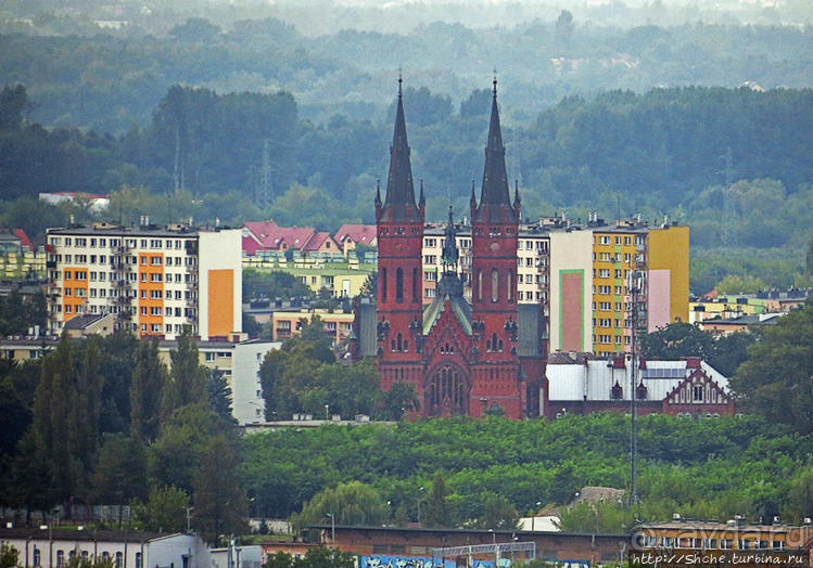 Если уж руины, то пускай они будут такие. Тарнувский замок