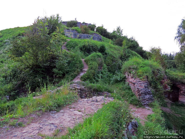Если уж руины, то пускай они будут такие. Тарнувский замок
