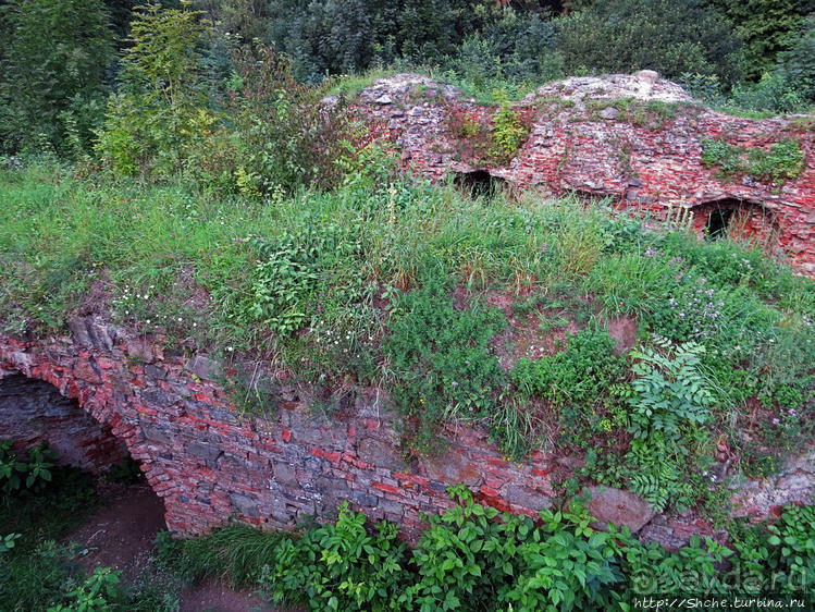 Если уж руины, то пускай они будут такие. Тарнувский замок