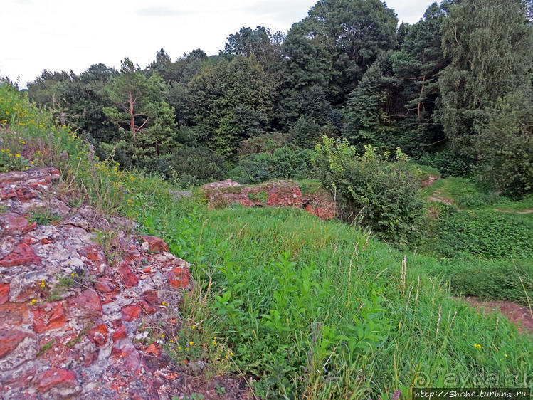 Если уж руины, то пускай они будут такие. Тарнувский замок