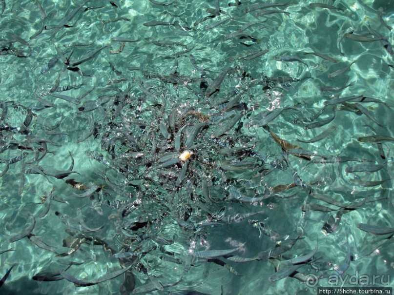 Дикие берега залива Мирабелла и песчаный пляж средь камней