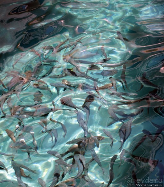 Дикие берега залива Мирабелла и песчаный пляж средь камней