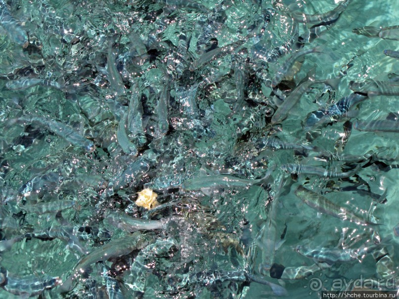 Дикие берега залива Мирабелла и песчаный пляж средь камней