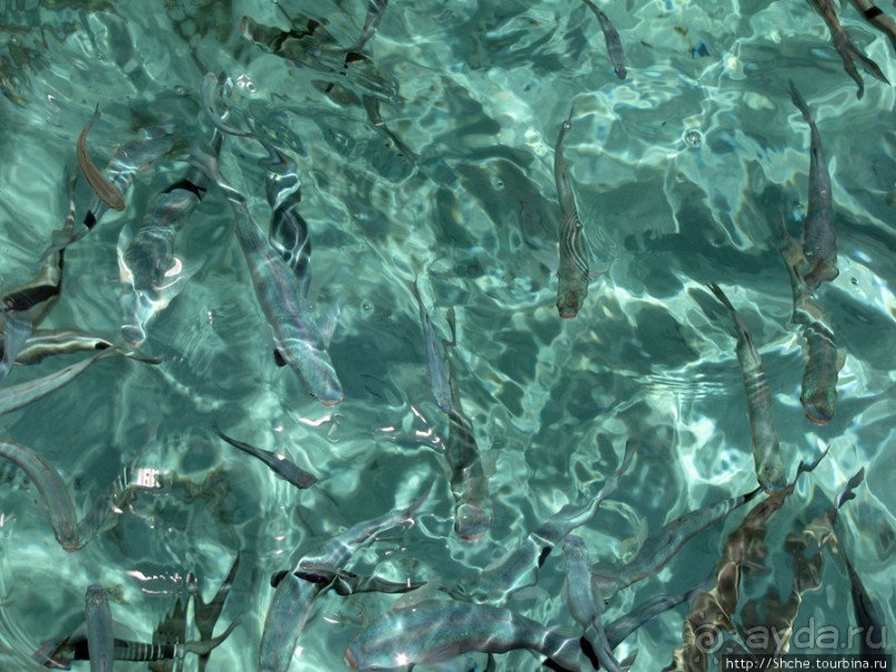 Дикие берега залива Мирабелла и песчаный пляж средь камней