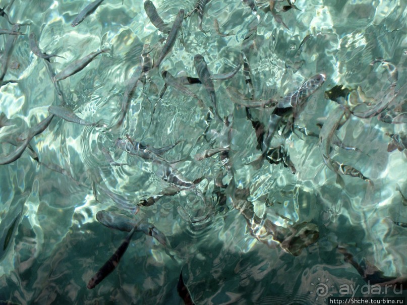 Дикие берега залива Мирабелла и песчаный пляж средь камней