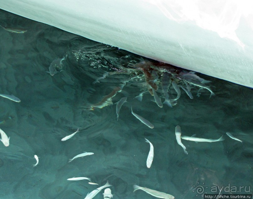 Дикие берега залива Мирабелла и песчаный пляж средь камней