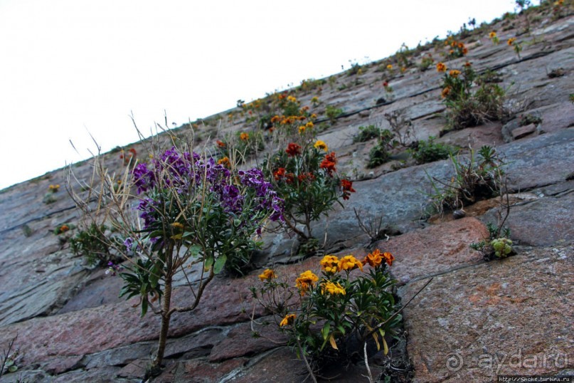 Вертикальные "сады" Джерси