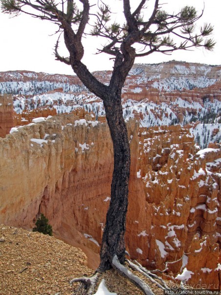 Bryce Canyon, шаг за шагом, Sunset Point.