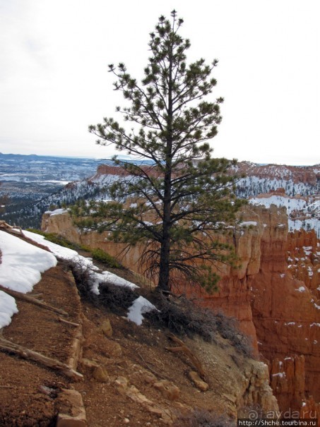 Bryce Canyon, шаг за шагом, Sunset Point.