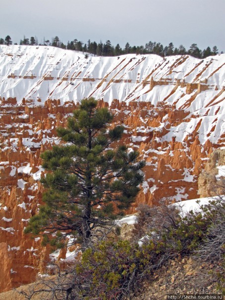 Bryce Canyon, шаг за шагом, Sunset Point.