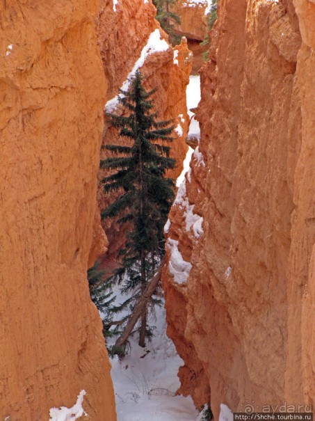 Bryce Canyon, шаг за шагом, Sunset Point.