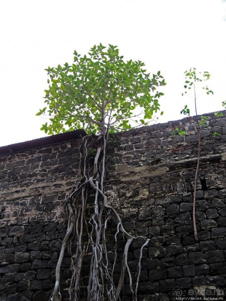 Иммиграционный терминал Ааправаси-Гхат — объект ЮНЕСКО №1227