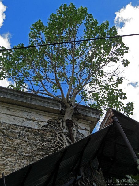 Иммиграционный терминал Ааправаси-Гхат — объект ЮНЕСКО №1227