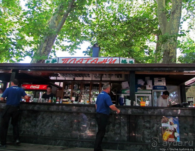 Кафе "Платаны" — культовое место для жителей Требинье