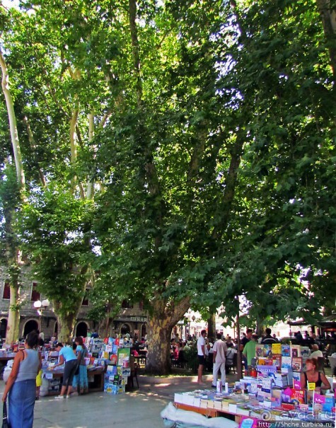 Кафе "Платаны" — культовое место для жителей Требинье