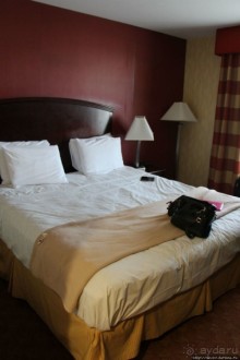 Плюсы при однодневном размещении