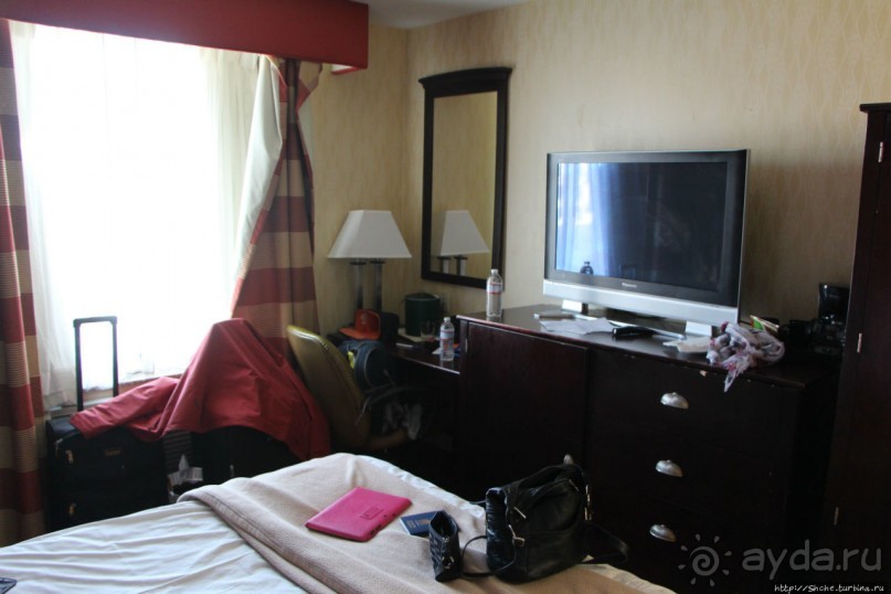 Плюсы при однодневном размещении