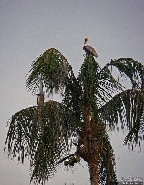 Набраться сил и дальше в путь