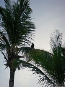 Набраться сил и дальше в путь