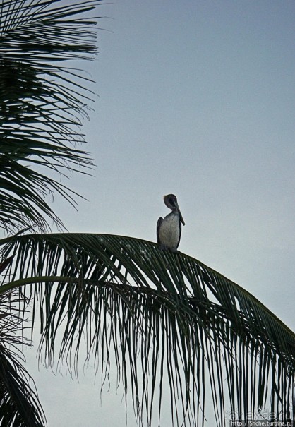 Набраться сил и дальше в путь