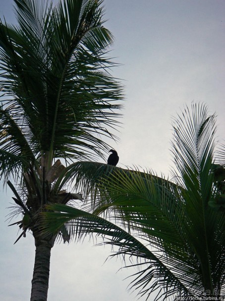 Набраться сил и дальше в путь