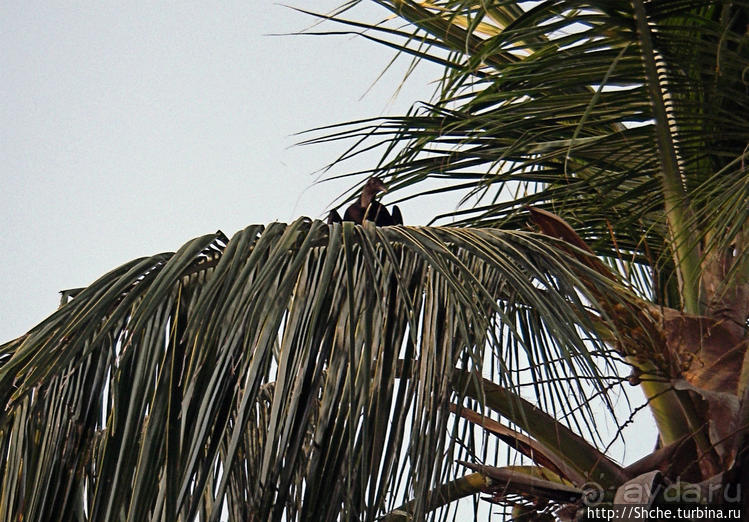 Набраться сил и дальше в путь