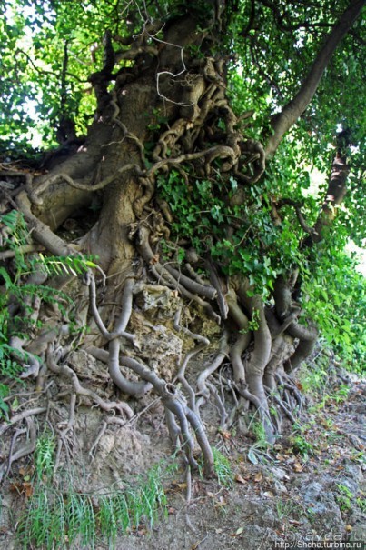 Πάρκο Καταρρακτών — парк водопадов в Эдессе