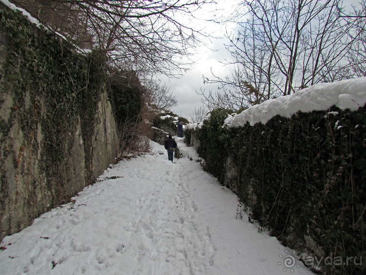 Гора Капуцинов (Kapuzinerberg) - зимний выход "на природу"