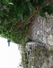 Гора Капуцинов (Kapuzinerberg) - зимний выход "на природу"