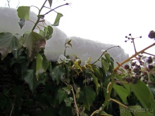 Гора Капуцинов (Kapuzinerberg) - зимний выход "на природу"