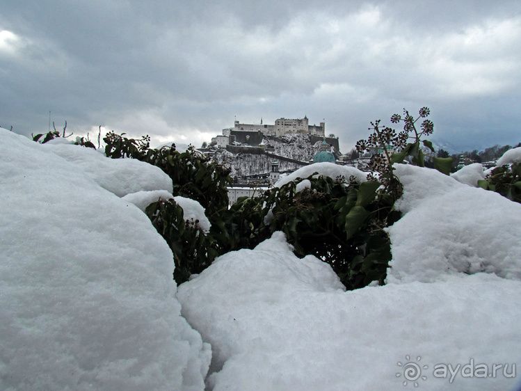 Гора Капуцинов (Kapuzinerberg) - зимний выход "на природу"